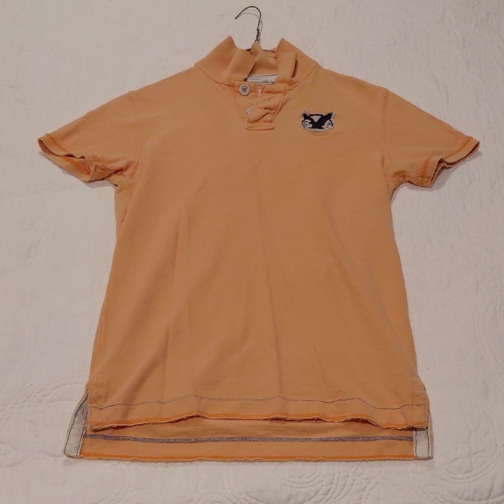 American Eagle Mens Polo